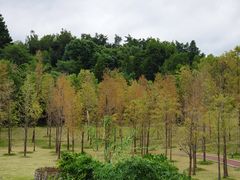-牛岗山公园