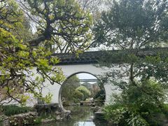 -上海醉白池公园