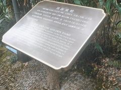 -杭州黄龙洞