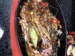 -老黑板筋(顺义总店)