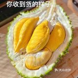 一入猫王深似海 从此金枕是路人