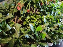 -大鸭梨烤鸭(枣园店)