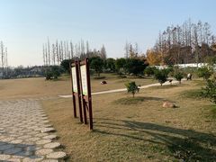 -上海长兴岛郊野公园