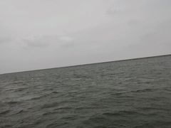-碧海金沙