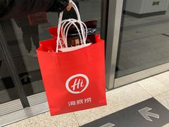 -海底捞火锅(公益西桥店)