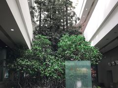 -中国湿地博物馆