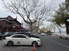 -楼外楼(西湖景区孤山路店)