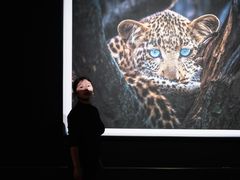 -罗红摄影艺术馆