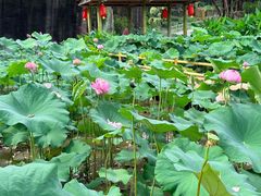 -广州莲花山旅游区