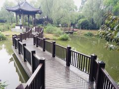 -瀛洲公园