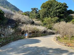 -广州市流溪河国家森林公园
