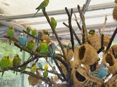 -珠海海泉湾神秘岛亲子乐园