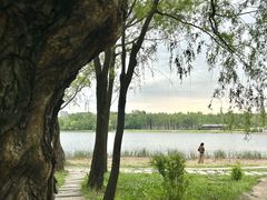 -长春市南湖公园