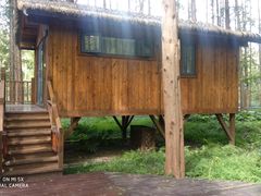 -黄海国家森林公园