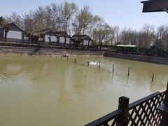 -尚庄度假村·庭台树下·户外烧烤·团建CS·轰趴营地(上庄水库店)