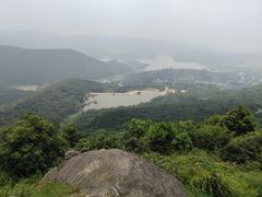 -大姆山草场