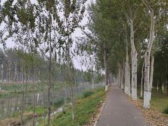 -东郊湿地公园