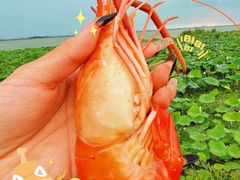 -七的湖·晚芳亭·阳澄湖农家菜·大闸蟹(莲花岛店)