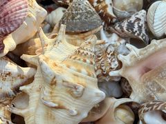 -青岛第三海水浴场