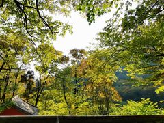 -北京上方山国家森林公园
