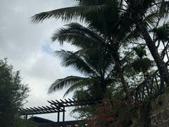 -海南槟榔谷黎苗文化旅游区
