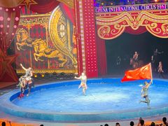 -珠海横琴长隆《卡卡虎奇遇记》