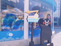 -西安曲江海洋极地公园