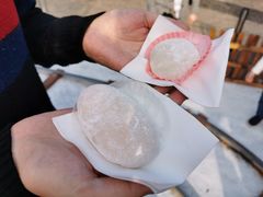 -澳门长洲糯米糍(柯打苏沙街店)