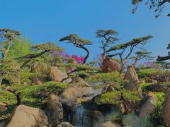 -罗红摄影艺术馆