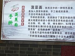 -手擀菠菜面(西康路店)