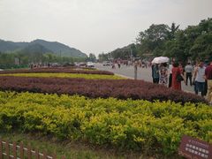-长兴慧子土特产茶行