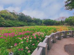 -云溪植物园