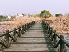 -梁鸿国家湿地公园