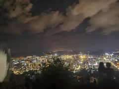 -长虫山生态公园风景林