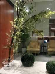 -圣轩·诗安国际母婴会所(渝中店)