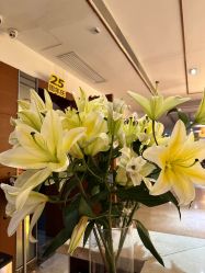 -深圳阳光医疗美容医院·旗舰店
