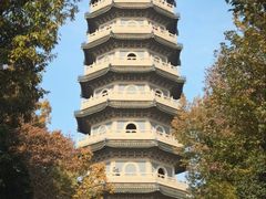 -灵谷景区