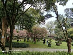 -都江堰景区