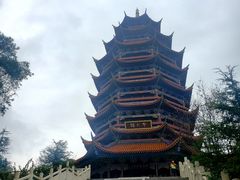 -铁山坪森林公园