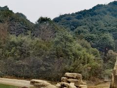 -杭州野生动物世界