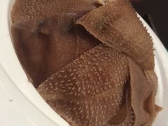 -大胖骨汤火锅(裕华店)