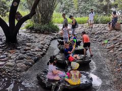 -成都市活水公园