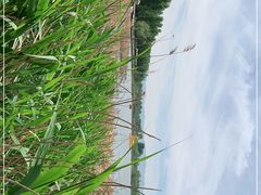 -野鸭湖国家湿地公园