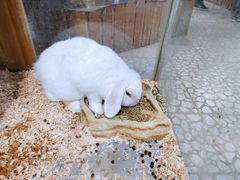 -上海大自然野生昆虫馆(东方明珠·爬宠昆虫探索中心)