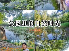 -云岗森林公园