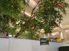 -Aqua Oasis 水天堂(太湖中心mall店)
