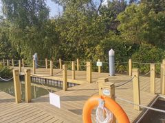 -华侨城湿地公园