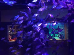 -成都浩海立方海洋公园