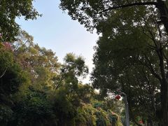 -泉州迎宾馆