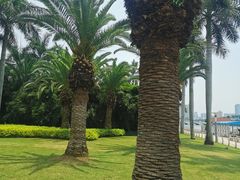 -白鹭洲公园